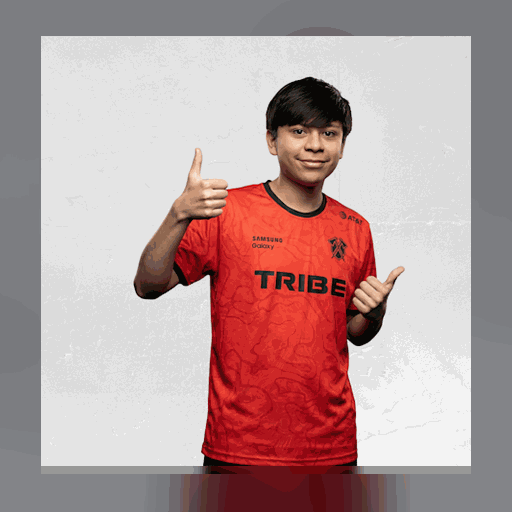 Diegogamer